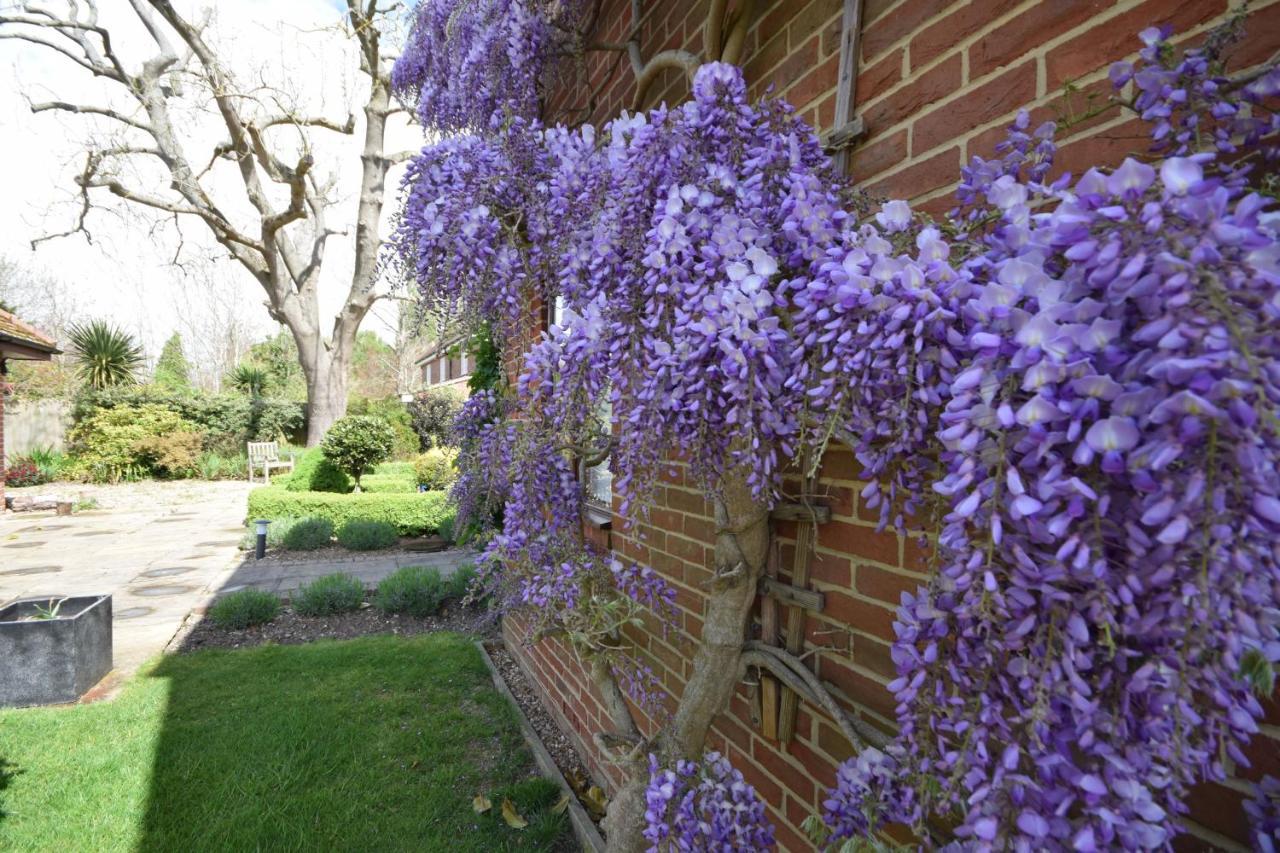 Wisteria Way, Tangmere Eksteriør bilde